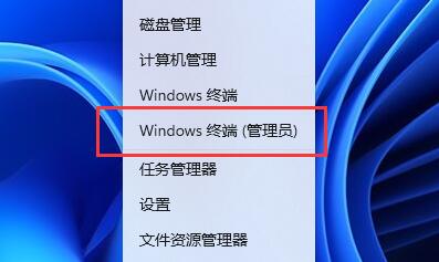 Win11Ƭ鿴W˽QWin11Ƭ鿴W˽Q